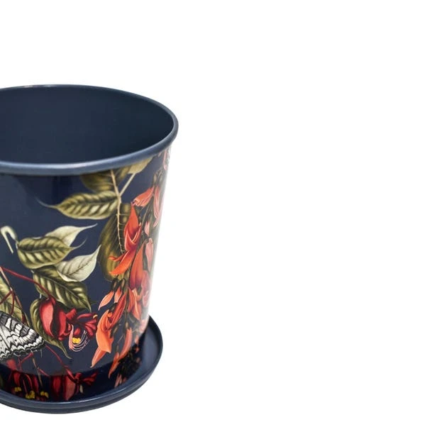 Kew Temperate House Planter With Saucer 12 Kew Temperate House Planter With Saucer - Image 10