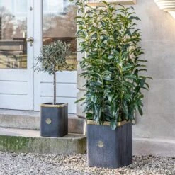 Set Of 2 Kew Outdoor Indoor Antique Lead Richmond Plant Pots