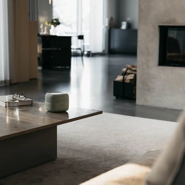 Absodry Moisture Absorber 10 Absodry Moisture Absorber - Image 8