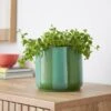 Elements Striped Ceramic Plant Pot 2 Elements Striped Ceramic Plant Pot -Home Luxe Studio 30943041