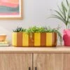 Elements Striped Ceramic Windowsill Plant Pot 2 Elements Striped Ceramic Windowsill Plant Pot -Home Luxe Studio 30943051