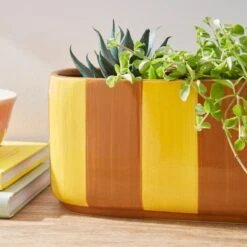Elements Striped Ceramic Windowsill Plant Pot 12 Elements Striped Ceramic Windowsill Plant Pot -Home Luxe Studio 30943051 alt01