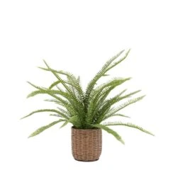 Artificial Fern In Wicker Plant Pot 7 Artificial Fern In Wicker Plant Pot -Home Luxe Studio 30959128 alt02