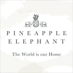 Pineapple Elephant Tamba Jersey Stripe Quilted Oxford Pillowcase Pair 17 Pineapple Elephant Tamba Jersey Stripe Quilted Oxford Pillowcase Pair -Home Luxe Studio 30962987 alt03
