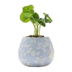 Set Of 2 Artificial Plants In Disney Alice In Wonderland Plant Pots 10 Set Of 2 Artificial Plants In Disney Alice In Wonderland Plant Pots -Home Luxe Studio 30963286 alt03