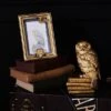 Harry Potter Hedwig Photo Frame -Home Luxe Studio 30963314