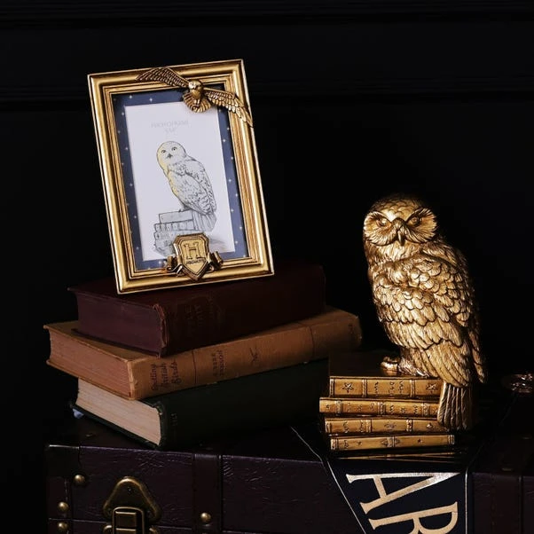Harry Potter Hedwig Photo Frame 3 Harry Potter Hedwig Photo Frame