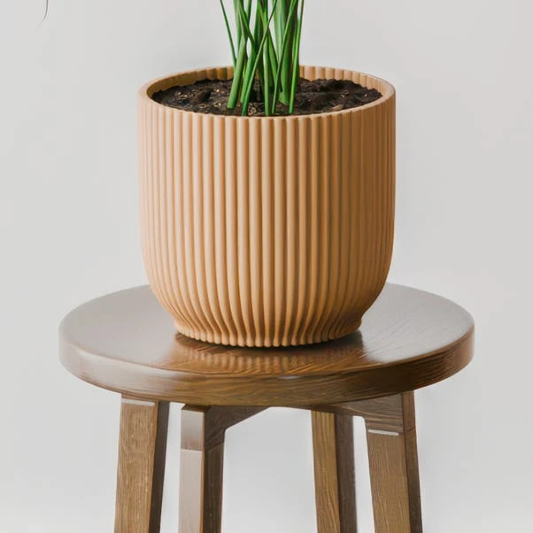 Kentia Palm House Plant In Elho Pot 17 Kentia Palm House Plant In Elho Pot - Image 15