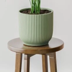 Kentia Palm House Plant In Elho Pot 32 Kentia Palm House Plant In Elho Pot -Home Luxe Studio 30963514 alt02