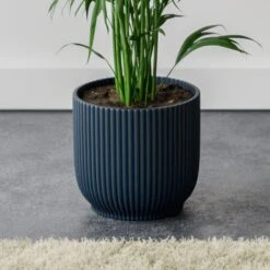 Kentia Palm House Plant In Elho Pot 28 Kentia Palm House Plant In Elho Pot -Home Luxe Studio 30963521 alt02