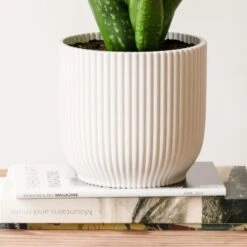 Aloe Vera House Plant In Elho Vibes Pot 24 Aloe Vera House Plant In Elho Vibes Pot -Home Luxe Studio 30963670 alt02