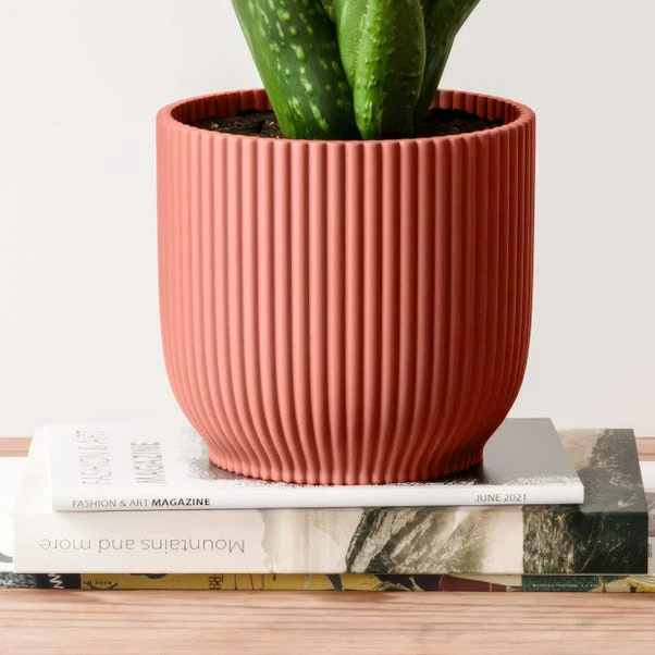 Aloe Vera House Plant In Elho Vibes Pot 17 Aloe Vera House Plant In Elho Vibes Pot - Image 15