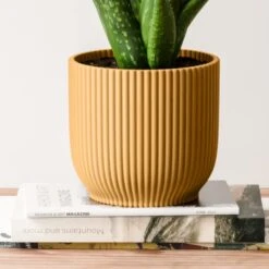 Aloe Vera House Plant In Elho Vibes Pot 20 Aloe Vera House Plant In Elho Vibes Pot -Home Luxe Studio 30963673 alt02