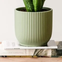 Aloe Vera House Plant In Elho Vibes Pot 28 Aloe Vera House Plant In Elho Vibes Pot -Home Luxe Studio 30963674 alt02