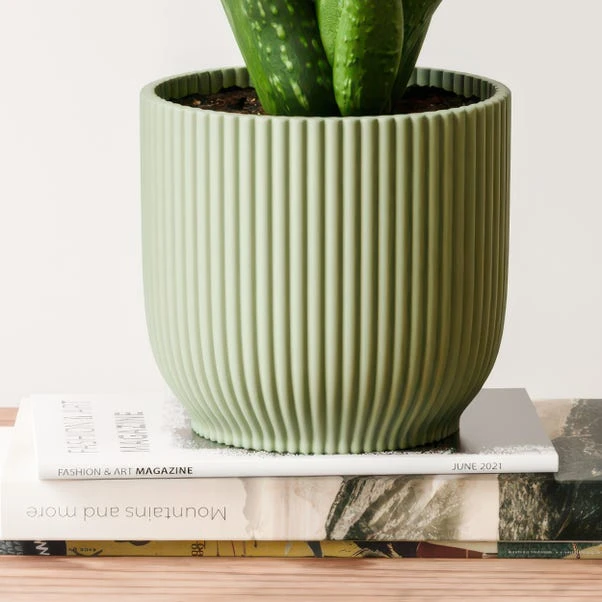 Aloe Vera House Plant In Elho Vibes Pot 13 Aloe Vera House Plant In Elho Vibes Pot - Image 11