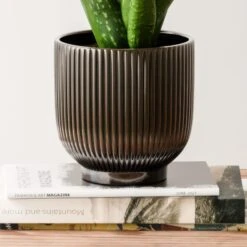 Aloe Vera House Plant In Ribbed Ceramic Pot 24 Aloe Vera House Plant In Ribbed Ceramic Pot -Home Luxe Studio 30963677 alt02