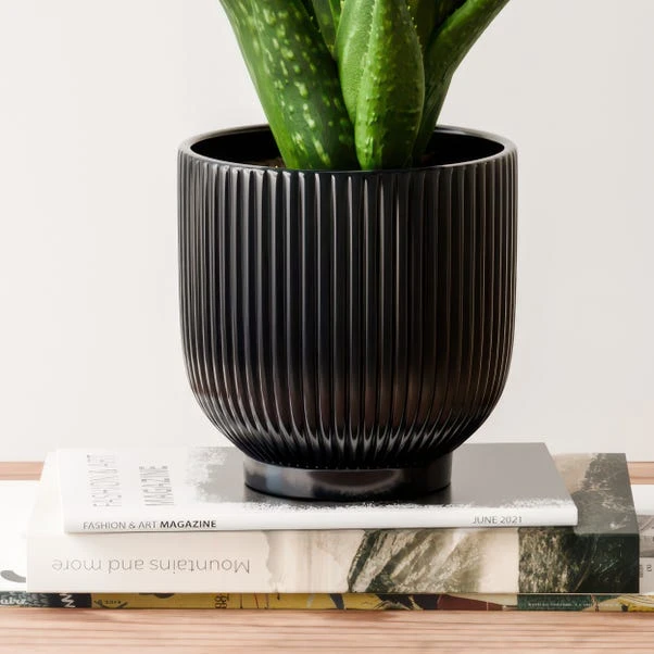 Aloe Vera House Plant In Ribbed Ceramic Pot 5 Aloe Vera House Plant In Ribbed Ceramic Pot - Image 3