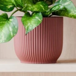 Marble Queen Pothos House Plant In Elho Pot 32 Marble Queen Pothos House Plant In Elho Pot -Home Luxe Studio 30963706 alt02