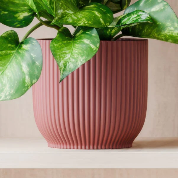 Marble Queen Pothos House Plant In Elho Pot 17 Marble Queen Pothos House Plant In Elho Pot - Image 15