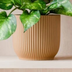 Marble Queen Pothos House Plant In Elho Pot 20 Marble Queen Pothos House Plant In Elho Pot -Home Luxe Studio 30963707 alt02