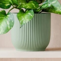 Marble Queen Pothos House Plant In Elho Pot 28 Marble Queen Pothos House Plant In Elho Pot -Home Luxe Studio 30963708 alt02