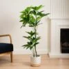 Artificial Umbrella Plant In Black Plant Pot
