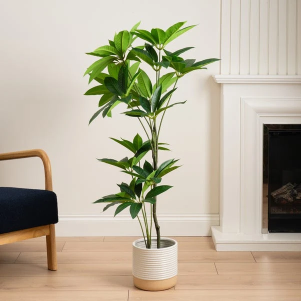 Artificial Umbrella Plant In Black Plant Pot 3 Artificial Umbrella Plant In Black Plant Pot