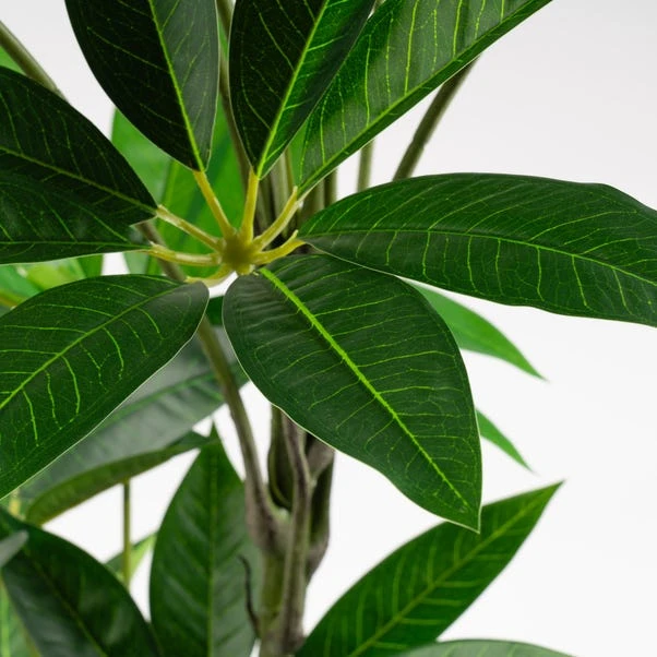 Artificial Umbrella Plant In Black Plant Pot 4 Artificial Umbrella Plant In Black Plant Pot - Image 2