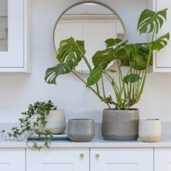 Celeste Ceramic Plant Pot 31 Celeste Ceramic Plant Pot -Home Luxe Studio 30976779 alt09