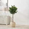 Bobble Fibrestone Plant Pot 1 Bobble Fibrestone Plant Pot -Home Luxe Studio 30983220